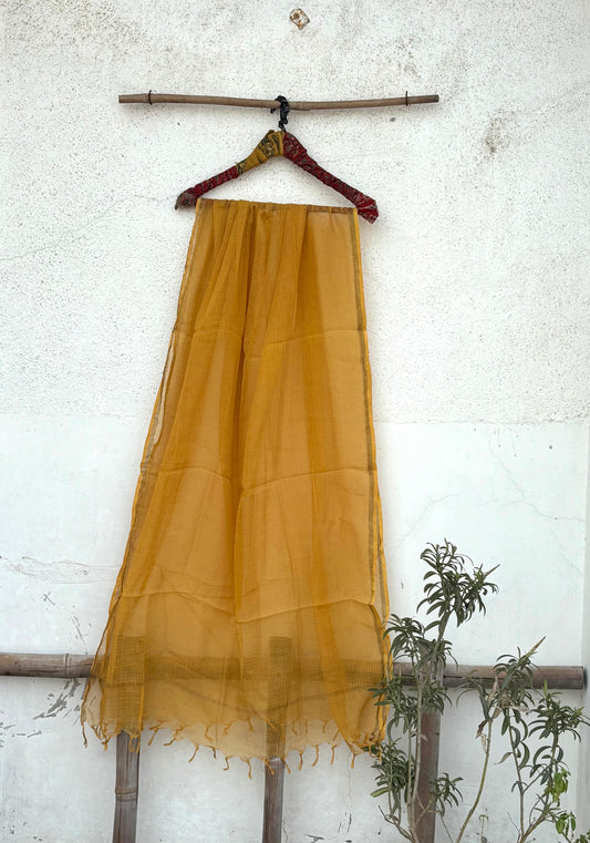 Mustard Kota dupptta